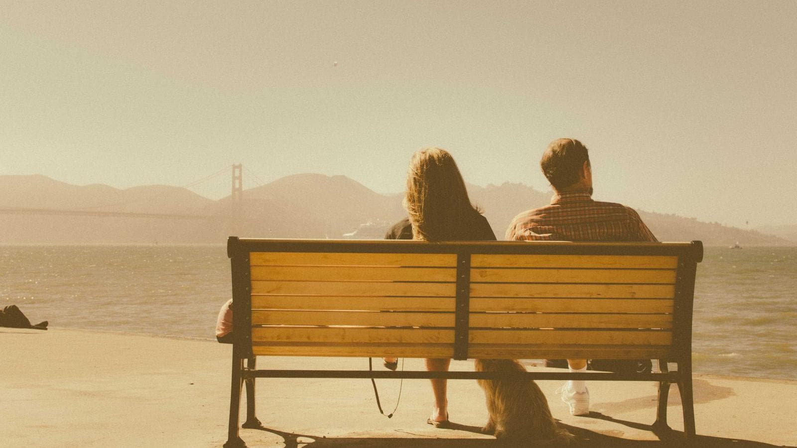 RCI Registration Explained: How to Verify Your Therapist Is Actually Licensed